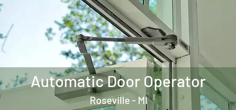 Automatic Door Operator Roseville - MI