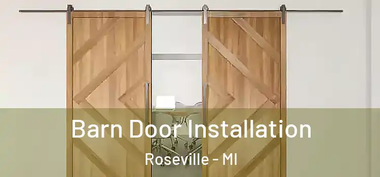 Barn Door Installation Roseville - MI