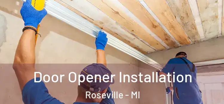 Door Opener Installation Roseville - MI