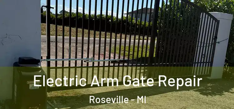 Electric Arm Gate Repair Roseville - MI