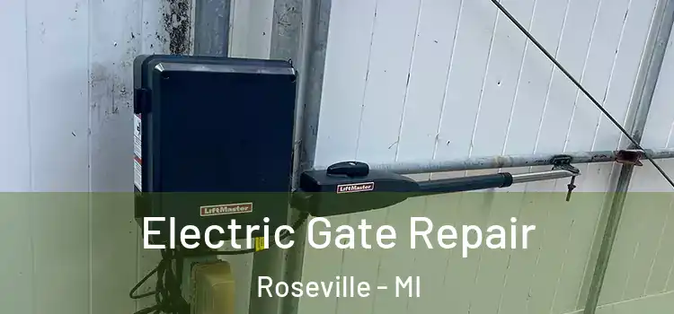  Electric Gate Repair Roseville - MI