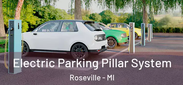 Electric Parking Pillar System Roseville - MI
