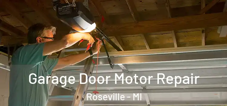  Garage Door Motor Repair Roseville - MI