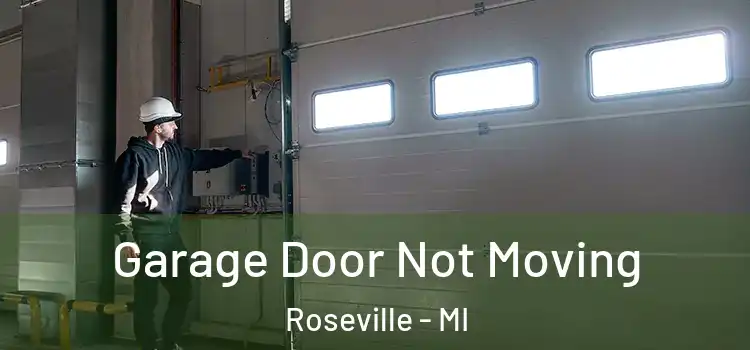  Garage Door Not Moving Roseville - MI