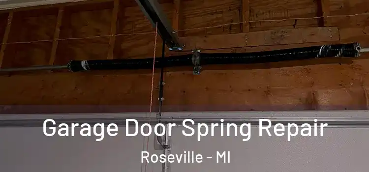  Garage Door Spring Repair Roseville - MI
