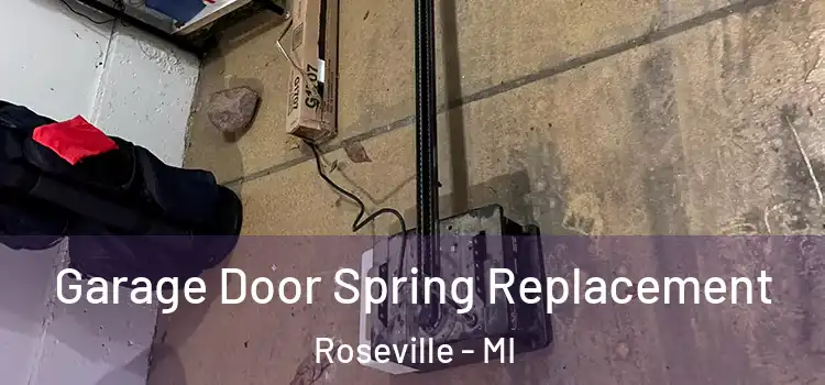  Garage Door Spring Replacement Roseville - MI