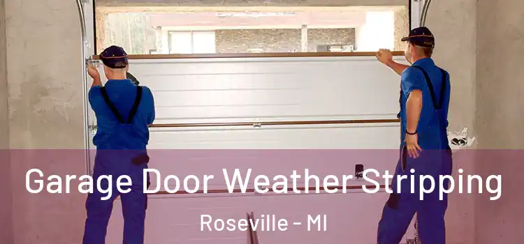  Garage Door Weather Stripping Roseville - MI