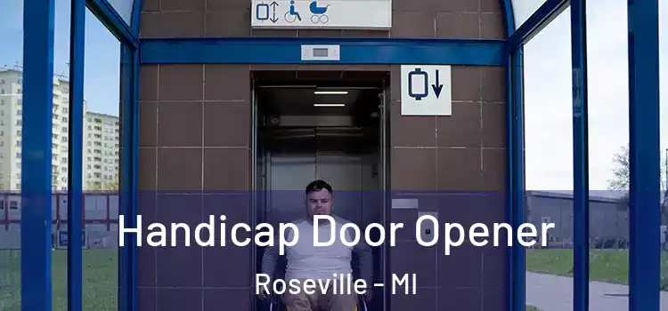 Handicap Door Opener Roseville - MI
