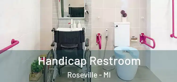 Handicap Restroom Roseville - MI