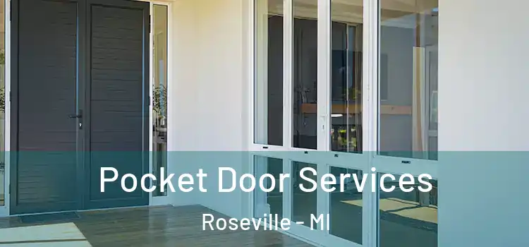 Pocket Door Services Roseville - MI