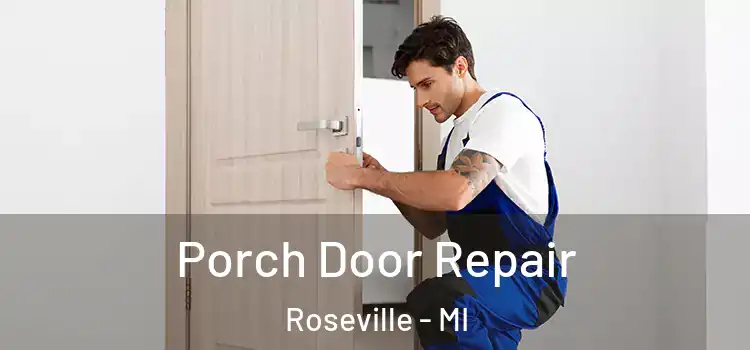  Porch Door Repair Roseville - MI