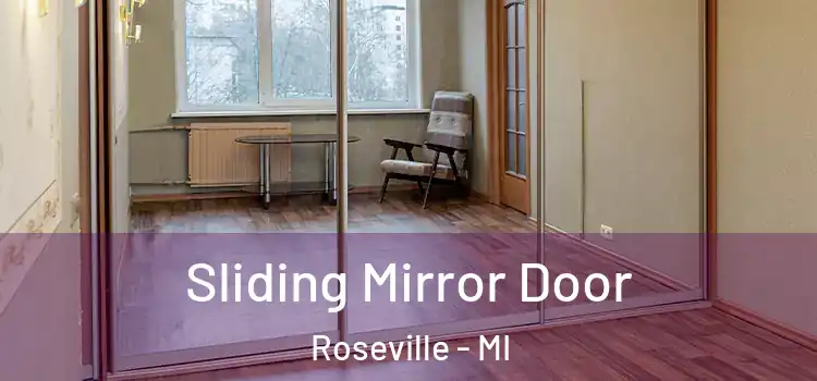  Sliding Mirror Door Roseville - MI