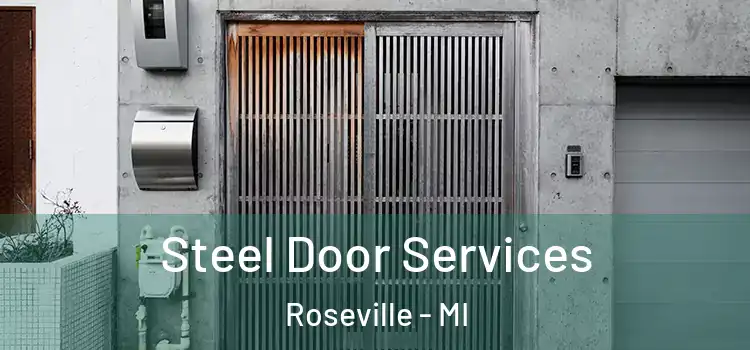 Steel Door Services Roseville - MI